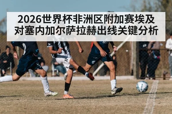 2026世界杯非洲区附加赛埃及对塞内加尔萨拉赫出线关键分析 | kaiyun